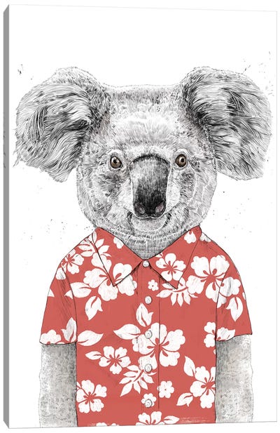Summer Koala Red Canvas Art Print - Balazs Solti