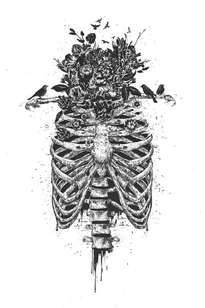 Skeletons: Tree Of Life by Balazs Solti