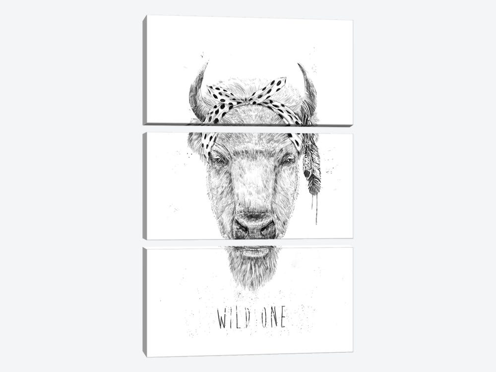 Wild One by Balazs Solti 3-piece Art Print
