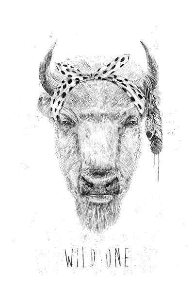 Bison & Buffaloes: Wild One by Balazs Solti