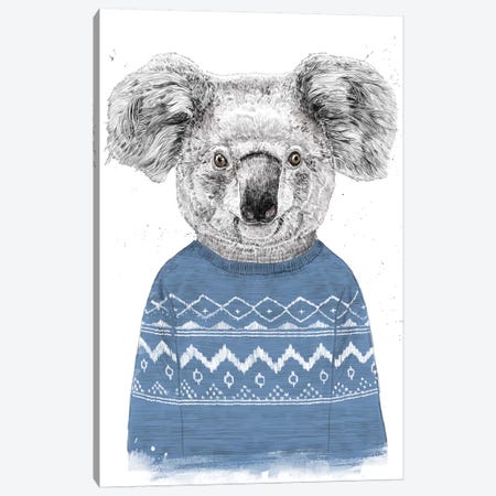 Winter Koala Blue Canvas Print #BSI190} by Balazs Solti Canvas Wall Art