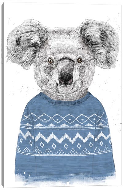 Winter Koala Blue Canvas Art Print - Koala Art