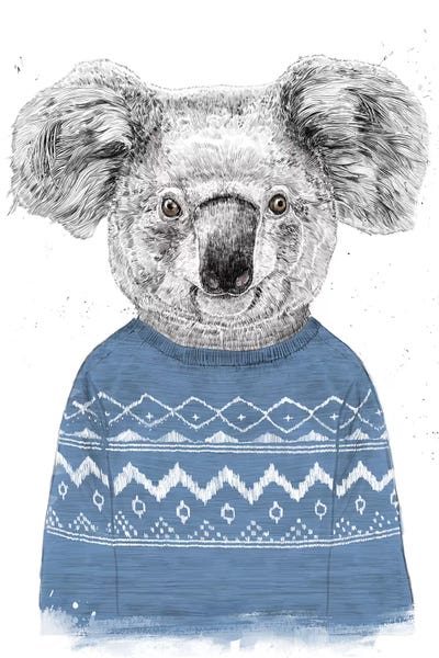 Koalas: Winter Koala Blue by Balazs Solti