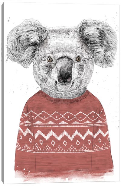 Winter Koala Red Canvas Art Print - Balazs Solti