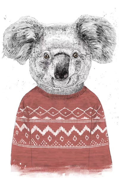 Koalas: Winter Koala Red by Balazs Solti