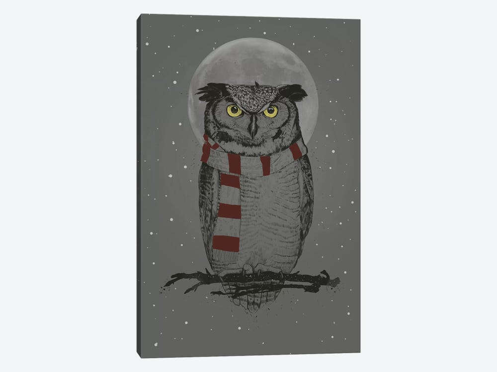 Winter Owl by Balazs Solti 1-piece Canvas Wall Art