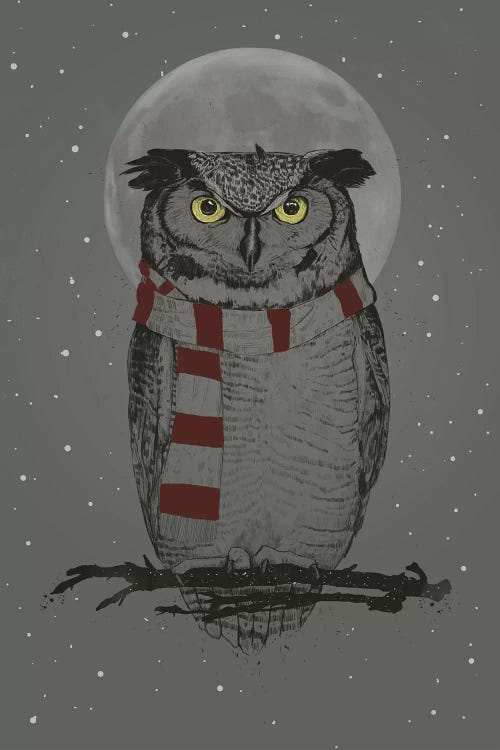 Winter Owl