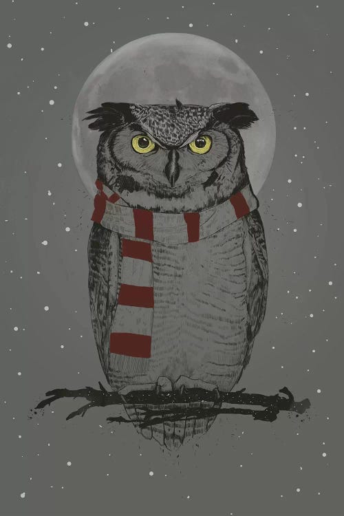 Winter Owl by Balazs Solti wall art