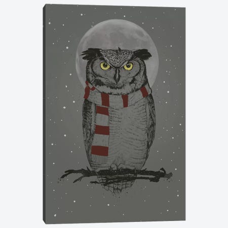 Winter Owl Canvas Print #BSI192} by Balazs Solti Canvas Artwork