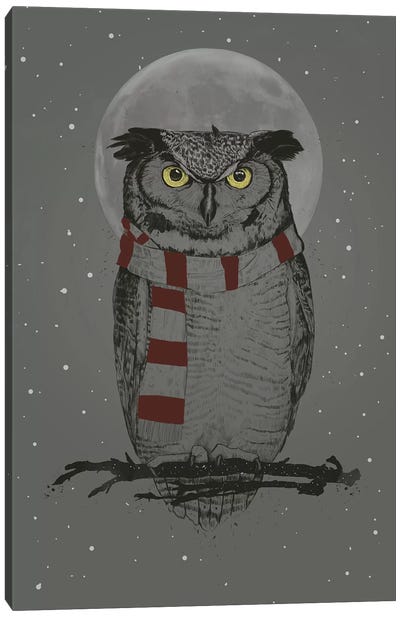 Winter Owl Canvas Art Print - Naughty or Nice