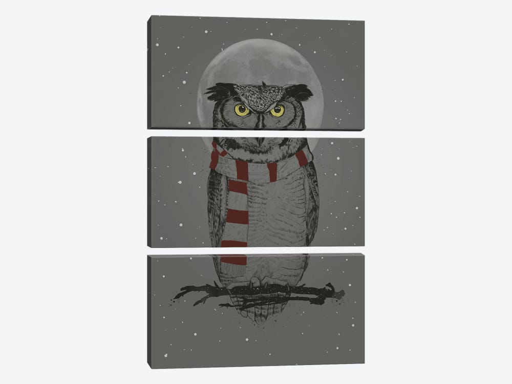 Winter Owl by Balazs Solti 3-piece Canvas Art
