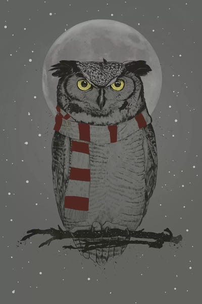 Naughty Or Nice: Winter Owl by Balazs Solti