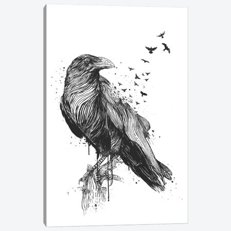 Born To Be Free In Black And White Canvas Print #BSI194} by Balazs Solti Canvas Art Print