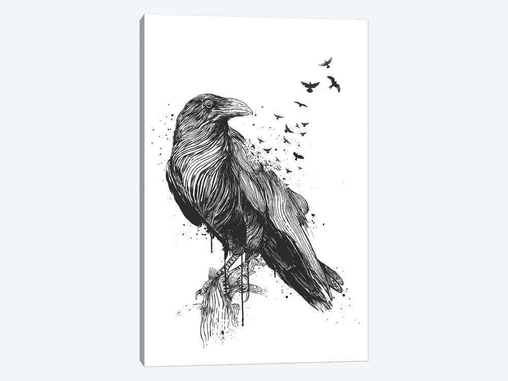 Born To Be Free In Black And White by Balazs Solti 1-piece Canvas Wall Art
