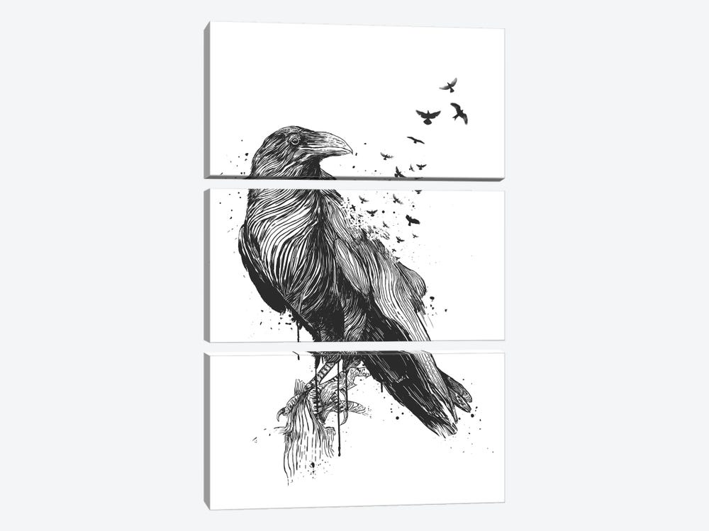 Born To Be Free In Black And White by Balazs Solti 3-piece Canvas Art