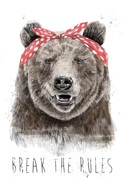 Break The Rules (In Color) by Balazs Solti art print