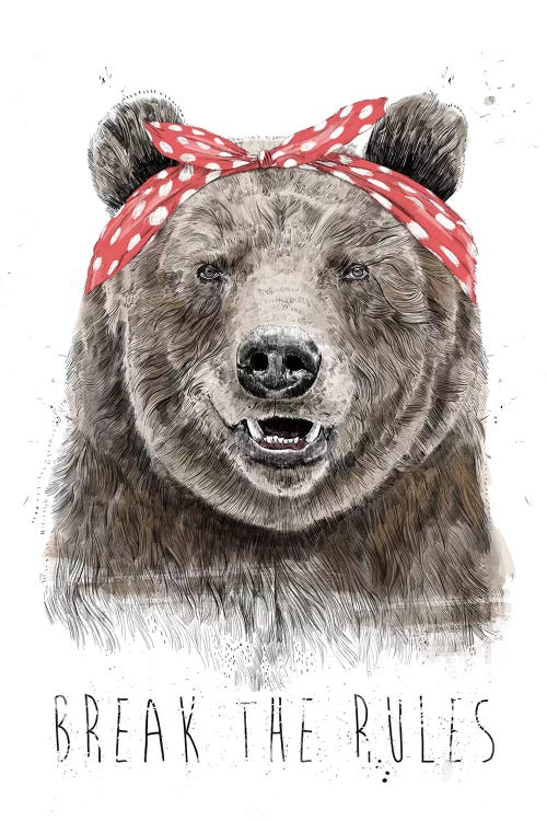 Break The Rules (In Color) by Balazs Solti wall art