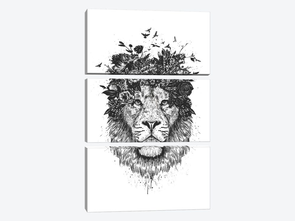 Floral Lion In Black And White by Balazs Solti 3-piece Canvas Art