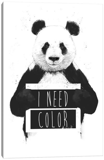 I Need Color Canvas Art Print - White Art