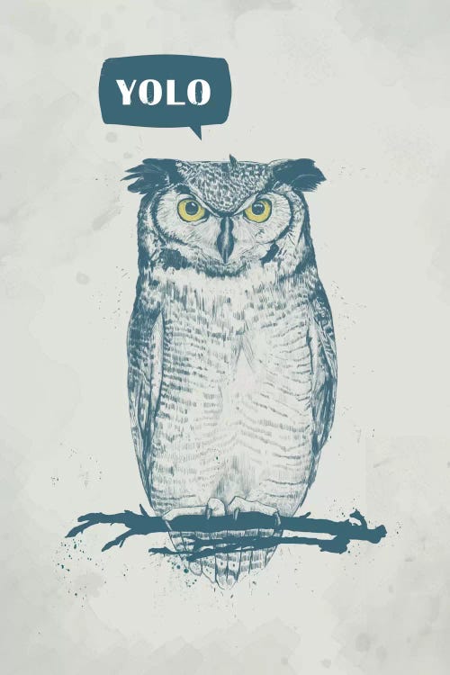 Yolo by Balazs Solti wall art