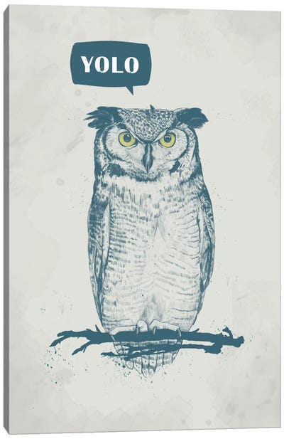 Yolo Canvas Art Print - Owls