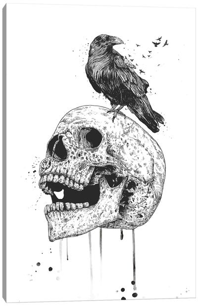 New Skull In Black And White Canvas Art Print - Crow Art