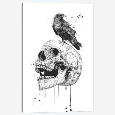 New Skull In Black And White Canvas Print #BSI200} by Balazs Solti Canvas Wall Art