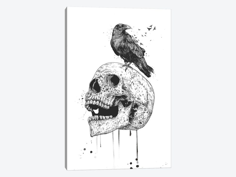 New Skull In Black And White by Balazs Solti 1-piece Canvas Art Print