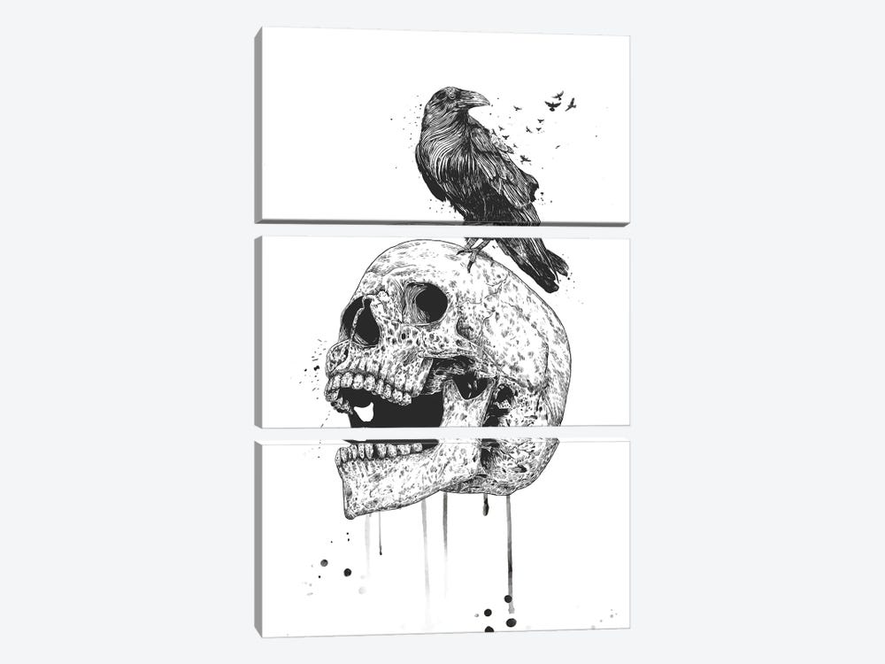New Skull In Black And White by Balazs Solti 3-piece Art Print