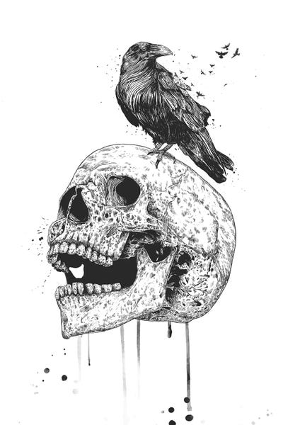 Crows: New Skull In Black And White by Balazs Solti