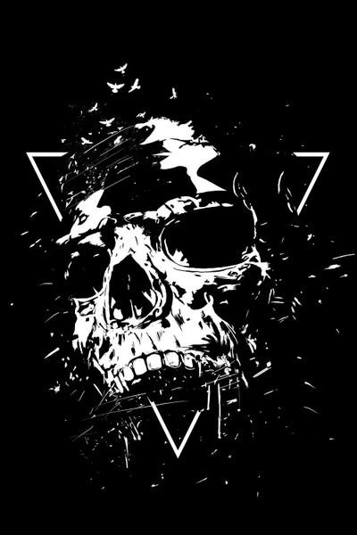 Skull X In Black And White by Balazs Solti art print