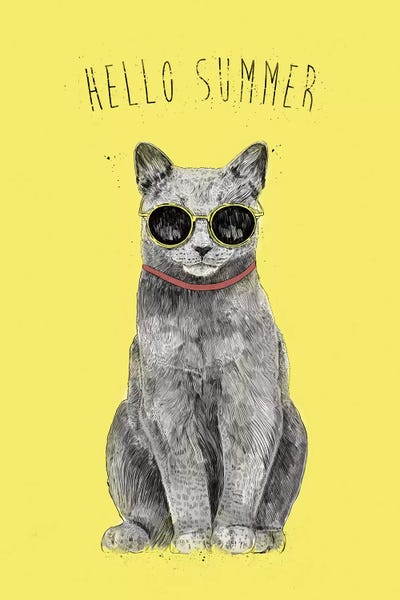 Hello Summer by Balazs Solti art print