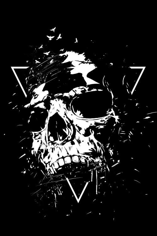 Skull X (Black And White)