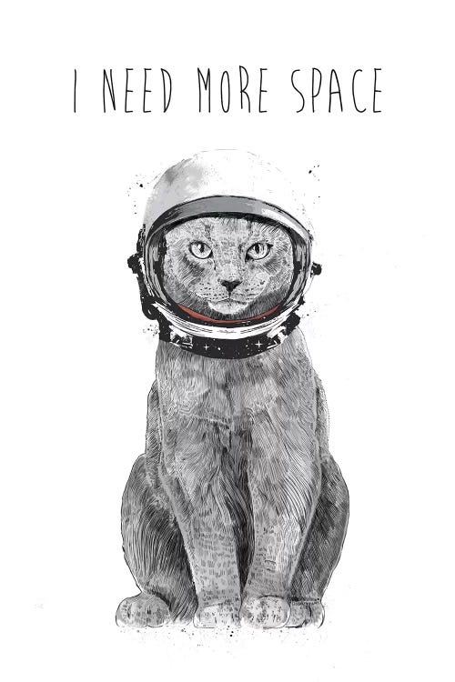 I Need More Space by Balazs Solti wall art