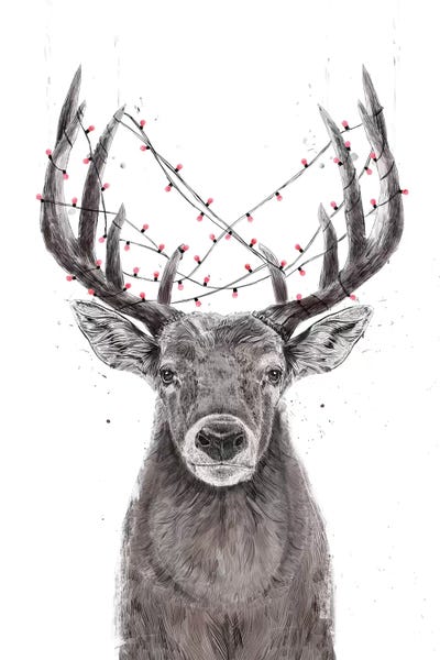 Animal Lover: Xmas Deer by Balazs Solti