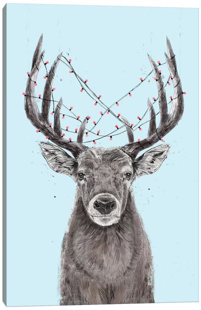 Xmas Deer II Canvas Art Print - Naughty or Nice