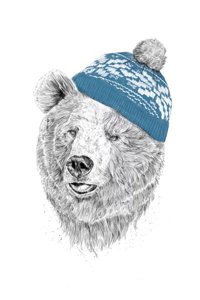 Hello Winter by Balazs Solti art print