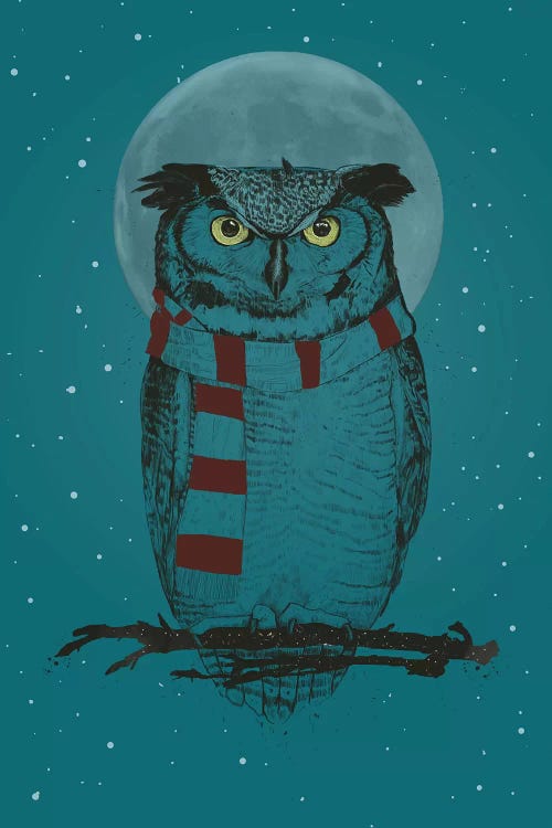 Winter Owl Ii by Balazs Solti wall art