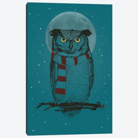 Winter Owl Ii Canvas Print #BSI213} by Balazs Solti Canvas Print