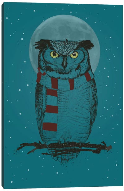 Winter Owl Ii Canvas Art Print - Balazs Solti