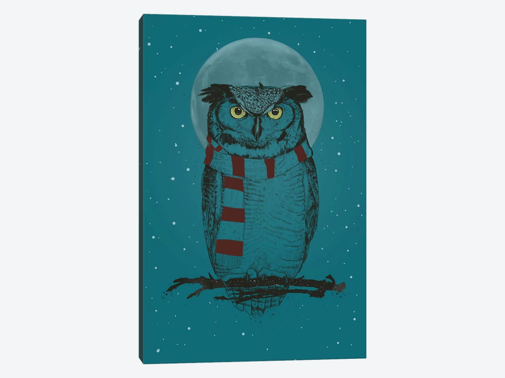 Winter Owl Ii by Balazs Solti 1-piece Canvas Art Print