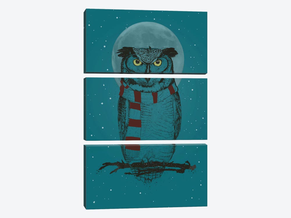 Winter Owl Ii by Balazs Solti 3-piece Canvas Art Print