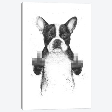 Censored Dog Canvas Print #BSI214} by Balazs Solti Canvas Wall Art