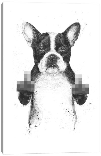 Censored Dog Canvas Art Print - Boston Terrier Art