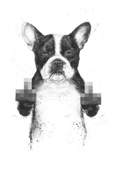 Black & White Drawings & Illustrations: Censored Dog by Balazs Solti