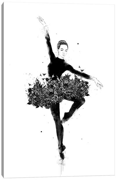 Floral Dance Canvas Art Print - Balazs Solti