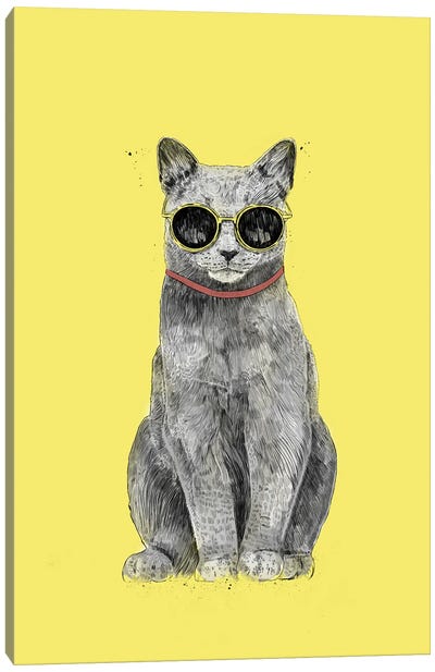 Summer Cat Canvas Art Print - Balazs Solti