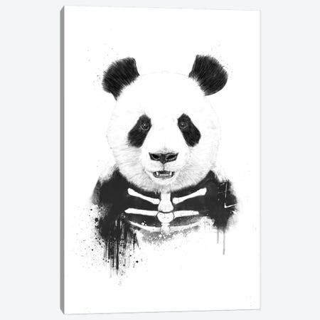Zombie Panda Canvas Print #BSI22} by Balazs Solti Canvas Print