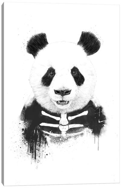 Zombie Panda Canvas Art Print - Balazs Solti