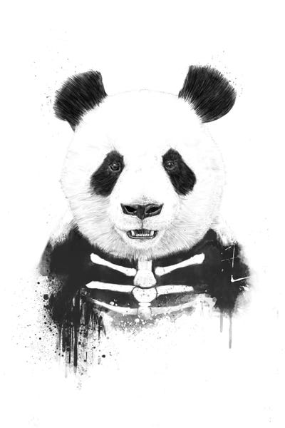 Balazs Solti: Zombie Panda by Balazs Solti